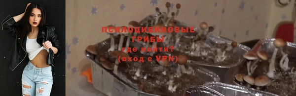 мдпв Волосово