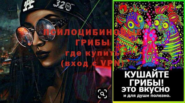 крисы Володарск